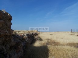 Castillo de Alcala 2009